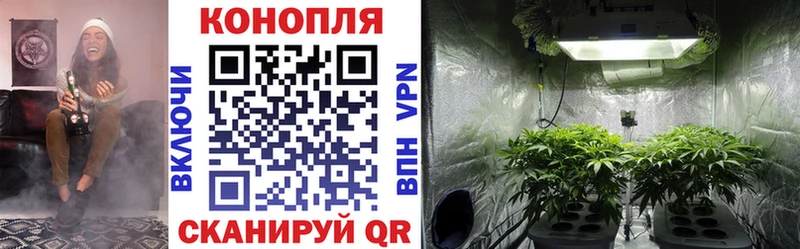 Где купить Приволжский Alpha-PVP  Псилоцибиновые грибы  COCAIN 