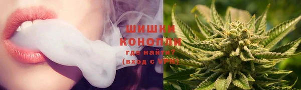 дмт Белокуриха