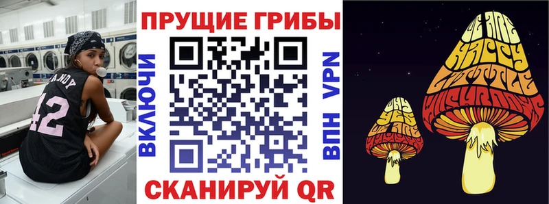 где купить наркотик  omg вход  Галлюциногенные грибы ЛСД  Приволжский 